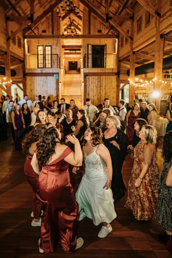 Wedding Guests Having Fun In A Reception, Dancing